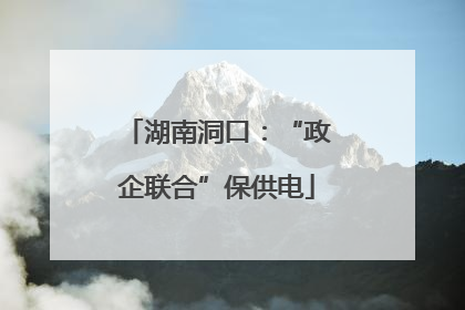 湖南洞口：“政企联合”保供电