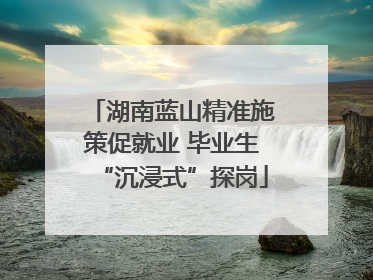 湖南蓝山精准施策促就业 毕业生“沉浸式”探岗
