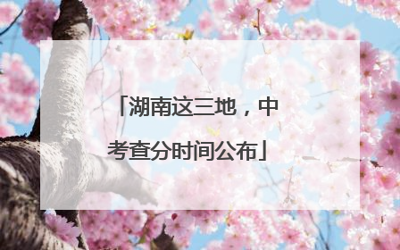 湖南这三地，中考查分时间公布