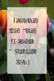 湖南轨道集团“轨道红·湘动脉”党建品牌发布