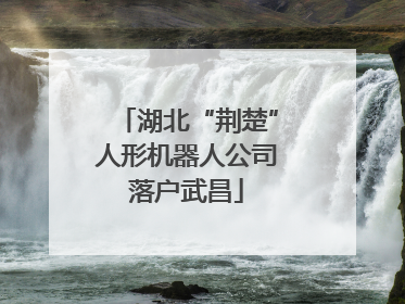 湖北“荆楚”人形机器人公司落户武昌