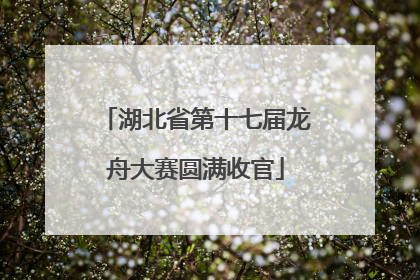 湖北省第十七届龙舟大赛圆满收官