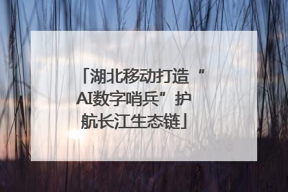 湖北移动打造“AI数字哨兵”护航长江生态链