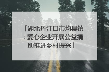 湖北丹江口市均县镇：爱心企业开展公益捐助推进乡村振兴