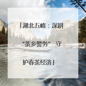 湖北五峰：深耕“茶乡警务” 守护春茶经济