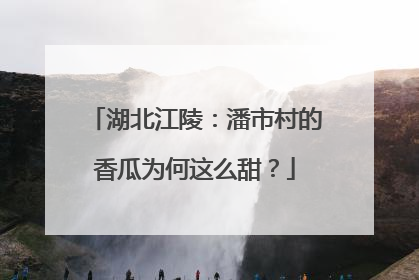 湖北江陵：潘市村的香瓜为何这么甜？
