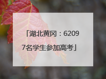 湖北黄冈：62097名学生参加高考