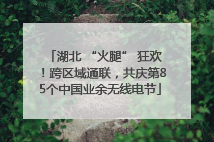 湖北 “火腿” 狂欢！跨区域通联，共庆第85个中国业余无线电节