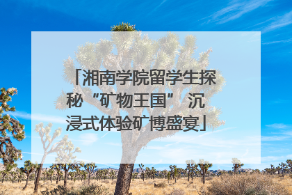 湘南学院留学生探秘“矿物王国” 沉浸式体验矿博盛宴