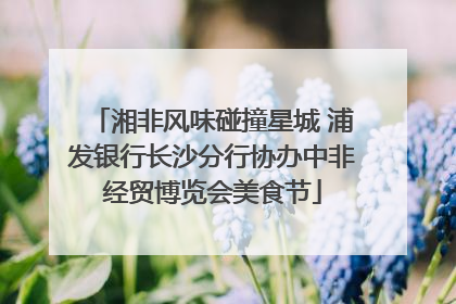 湘非风味碰撞星城 浦发银行长沙分行协办中非经贸博览会美食节
