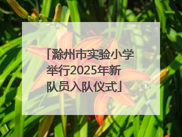 滁州市实验小学举行2025年新队员入队仪式