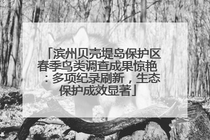 滨州贝壳堤岛保护区春季鸟类调查成果惊艳：多项纪录刷新，生态保护成效显著