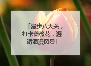 漫步八大关，打卡蔷薇花，邂逅浪漫风景