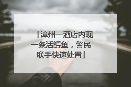 漳州一酒店内现一条活鳄鱼，警民联手快速处置