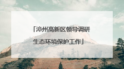 漳州高新区领导调研生态环境保护工作