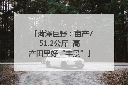 菏泽巨野：亩产751.2公斤  高产田里好“丰景”
