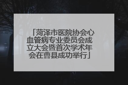 菏泽市医院协会心血管病专业委员会成立大会暨首次学术年会在曹县成功举行