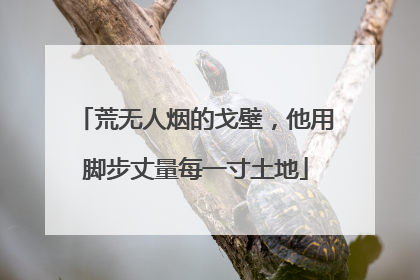 荒无人烟的戈壁，他用脚步丈量每一寸土地