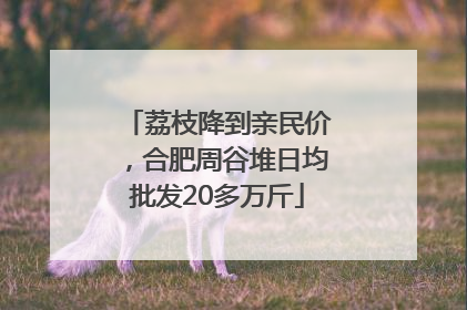 荔枝降到亲民价，合肥周谷堆日均批发20多万斤