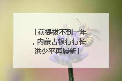 获提拔不到一年，内蒙古银行行长洪少平再履新