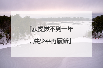 获提拔不到一年，洪少平再履新