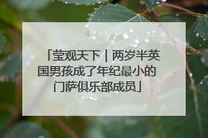 莹观天下｜两岁半英国男孩成了年纪最小的门萨俱乐部成员