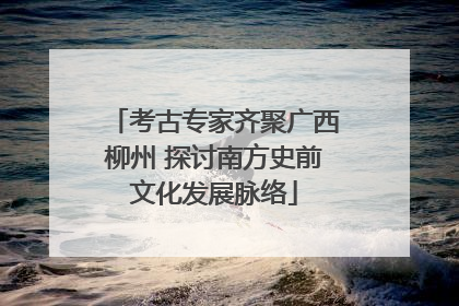 考古专家齐聚广西柳州 探讨南方史前文化发展脉络