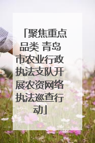 聚焦重点品类 青岛市农业行政执法支队开展农资网络执法巡查行动