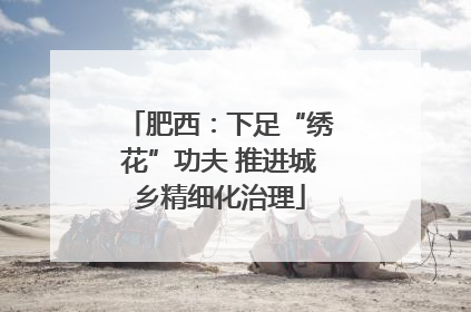 肥西：下足“绣花”功夫 推进城乡精细化治理