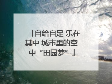 自给自足 乐在其中 城市里的空中“田园梦”