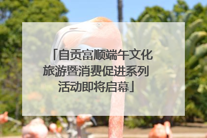 自贡富顺端午文化旅游暨消费促进系列活动即将启幕