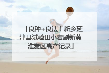 良种+良法！新乡延津县试验田小麦刷新黄淮麦区高产记录