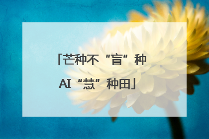芒种不“盲”种 AI“慧”种田