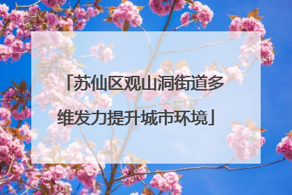 苏仙区观山洞街道多维发力提升城市环境