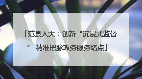 范县人大：创新“沉浸式监督” 精准把脉政务服务堵点