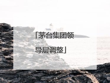 茅台集团领导层调整