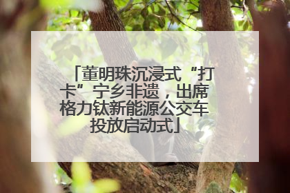 董明珠沉浸式“打卡”宁乡非遗，出席格力钛新能源公交车投放启动式