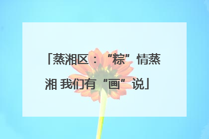 蒸湘区：“粽”情蒸湘 我们有“画”说