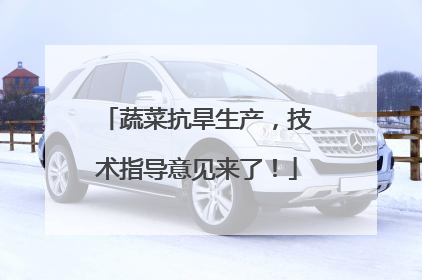 蔬菜抗旱生产，技术指导意见来了！