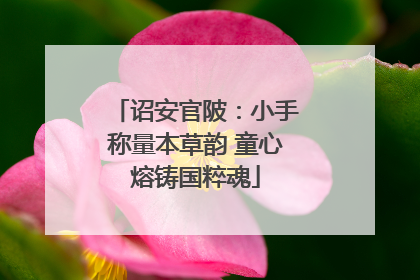 诏安官陂：小手称量本草韵 童心熔铸国粹魂