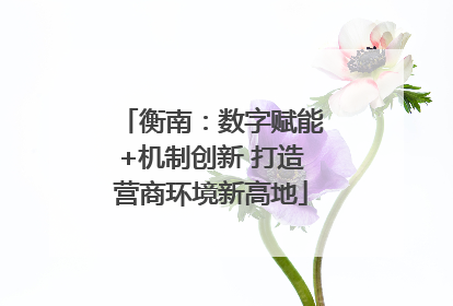 衡南：数字赋能+机制创新 打造营商环境新高地