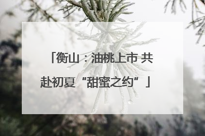 衡山：油桃上市 共赴初夏“甜蜜之约”