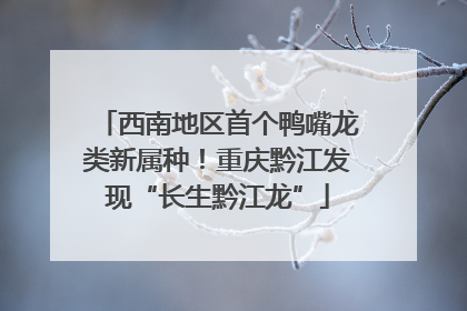西南地区首个鸭嘴龙类新属种！重庆黔江发现“长生黔江龙”