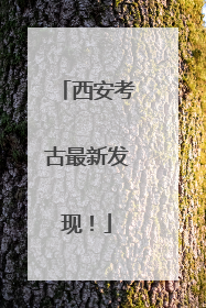 西安考古最新发现！