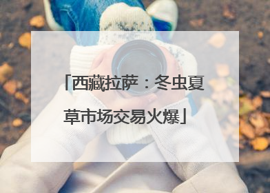 西藏拉萨：冬虫夏草市场交易火爆