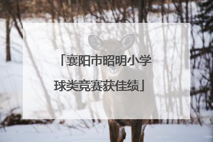 襄阳市昭明小学球类竞赛获佳绩