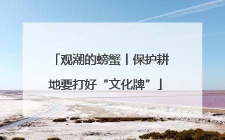 观潮的螃蟹丨保护耕地要打好“文化牌”