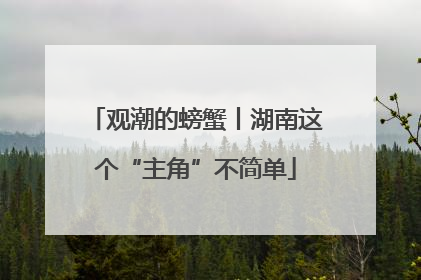 观潮的螃蟹丨湖南这个“主角”不简单