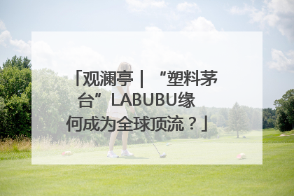 观澜亭｜“塑料茅台”LABUBU缘何成为全球顶流？
