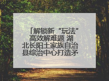 解锁新“玩法” 高效解难题 湖北长阳土家族自治县综治中心打造矛盾纠纷调处“终点站”